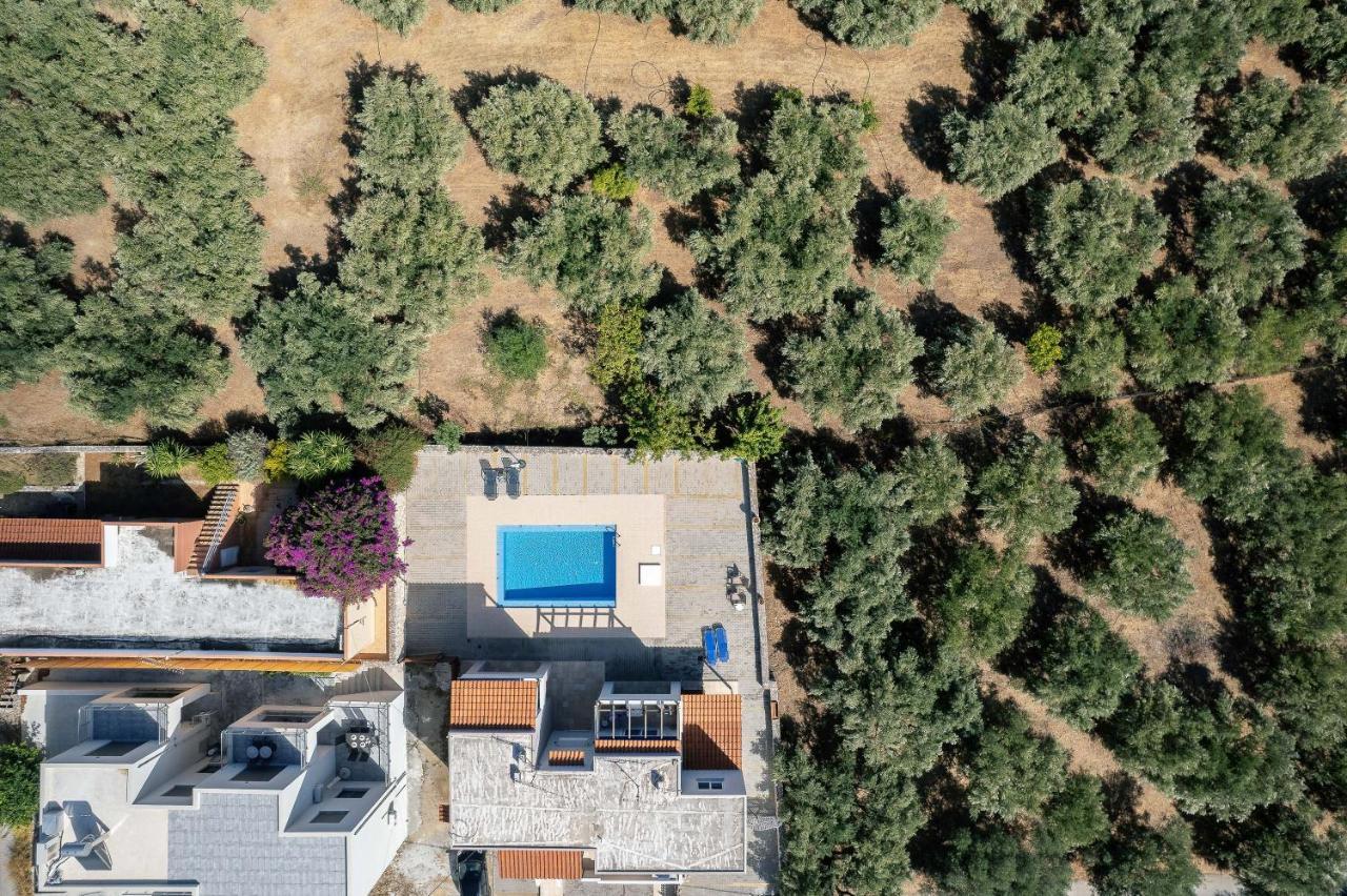 Greek Sky - New Modern Apartment With Shared Pool Tavronitis  Exterior photo